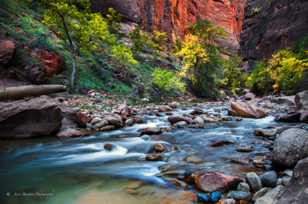 Zion Canyon, Fall-4527.jpg Zion Canyon, Fall-4527.jpg
